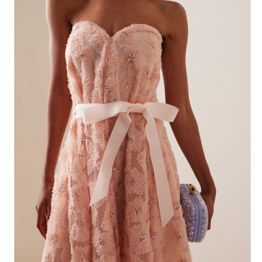 Huishan Zhang Vivia Embroidered Bustier Gown